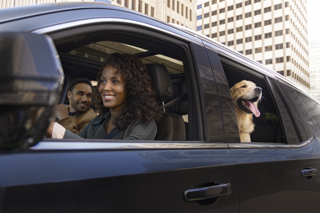 Woman driving with the windows down and a dog in the back seat