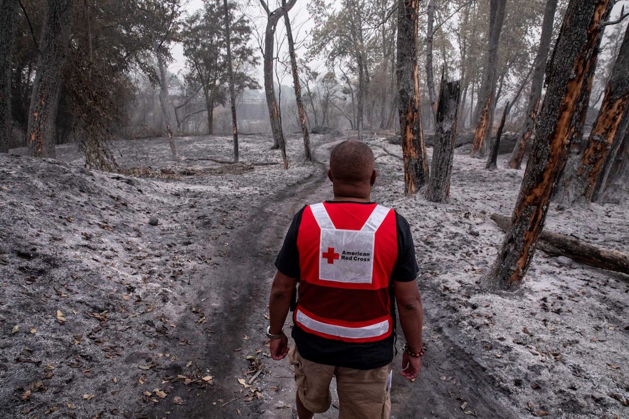 Red Cross Volunteer Walking in Ash Covered Forest