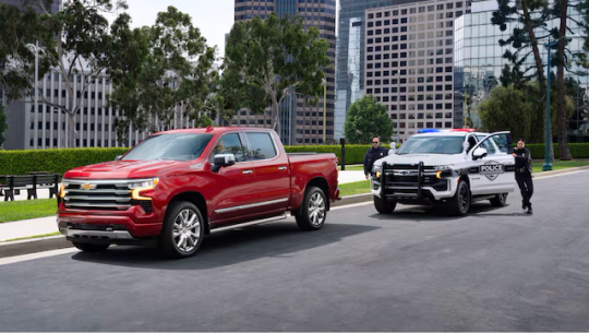 Police officers pulling over a stolen truck