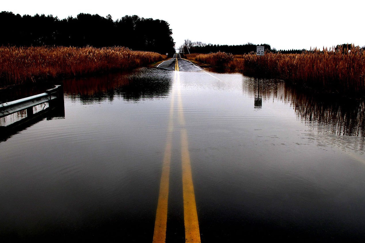 Flooded Empty Road With Tree Line in Background