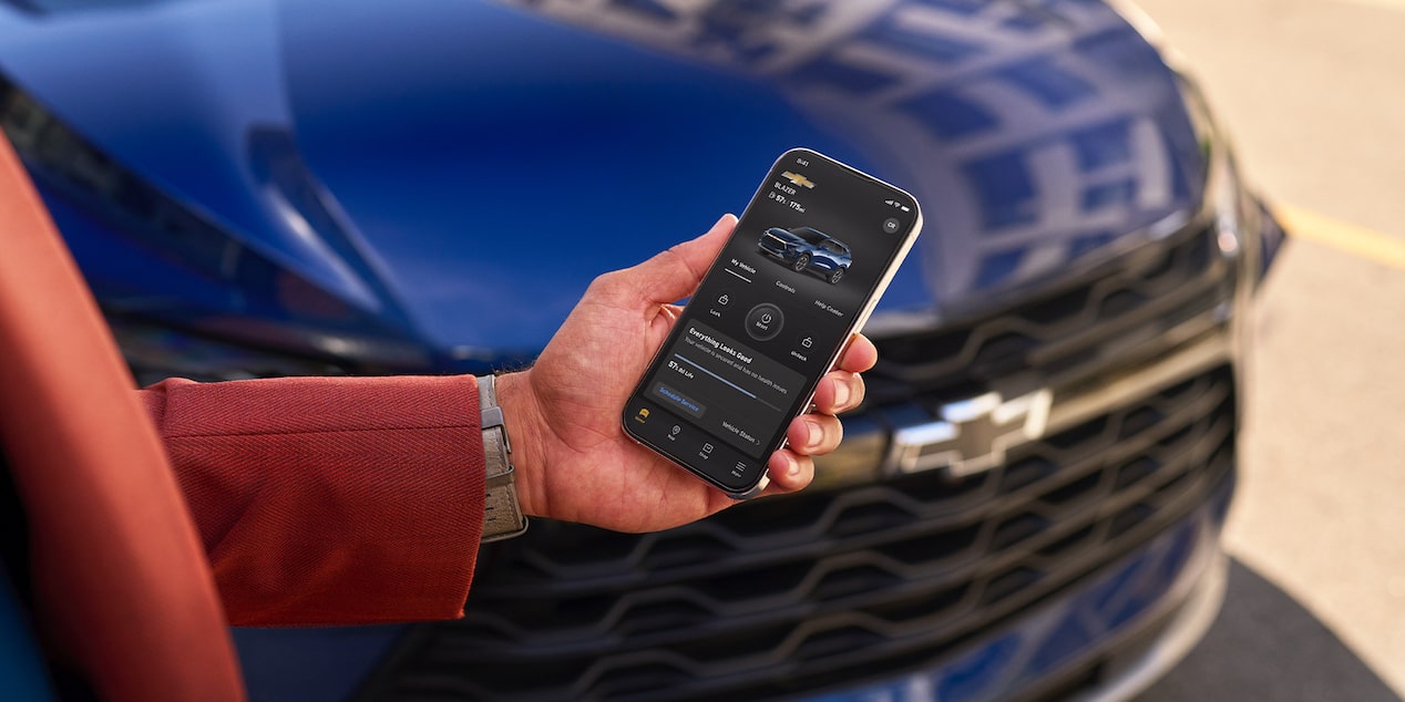 Person Using Smartphone in Front of Vehicle