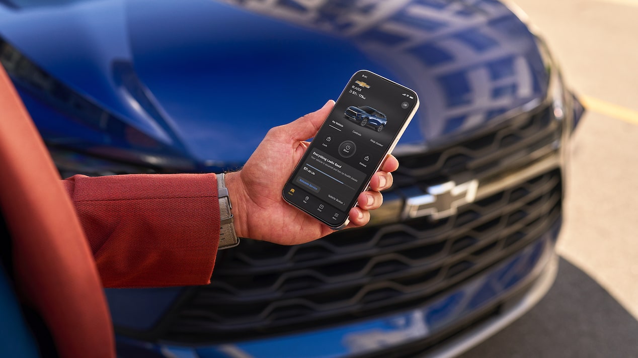 Person Using Smartphone in Front of Vehicle