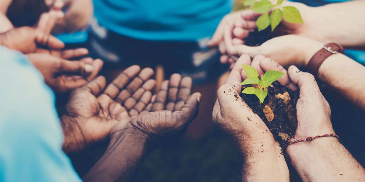 Volunteers Holding Plants 